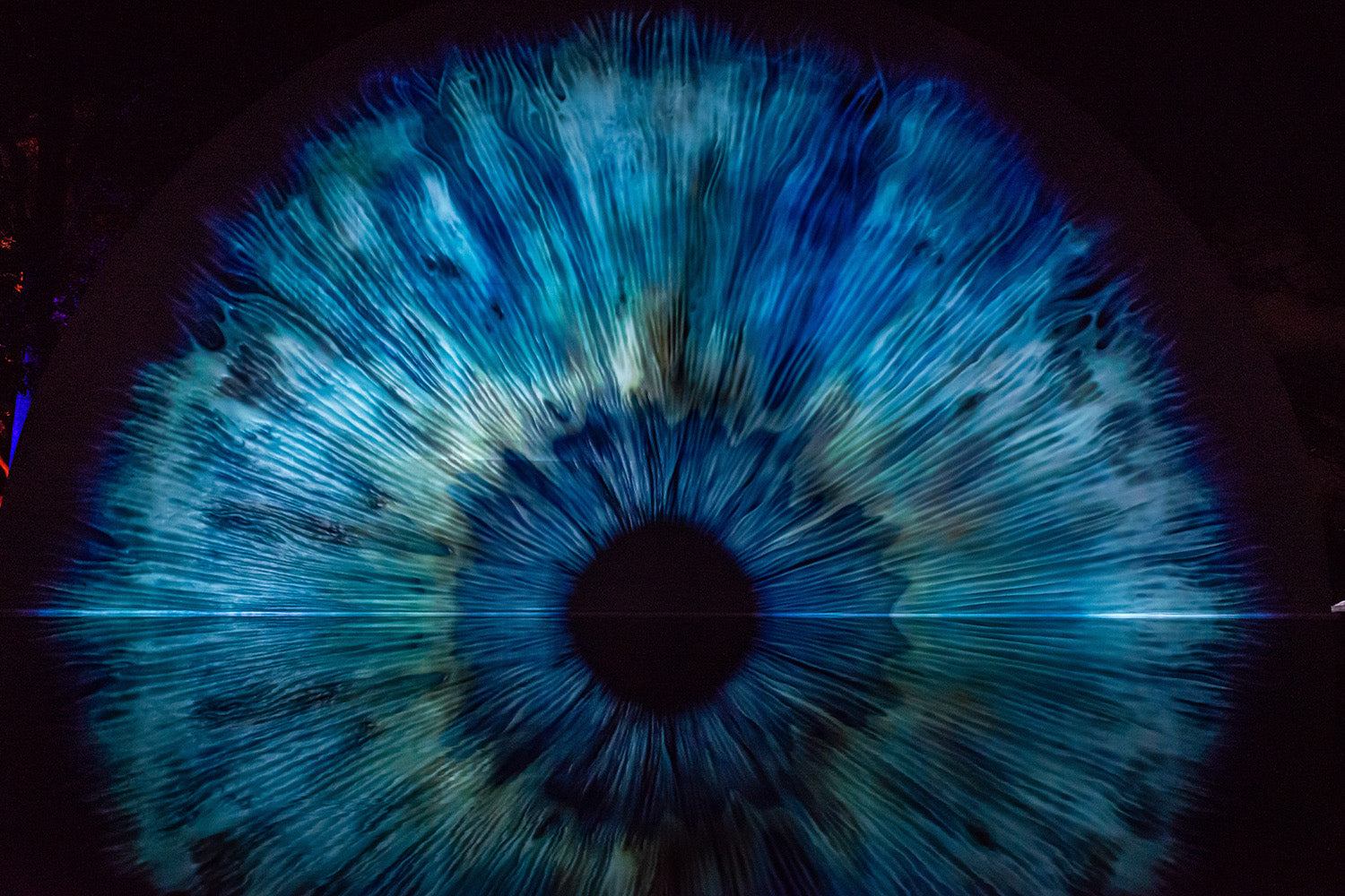 What Is My Eye Shape – How To Pick the Best Lashes