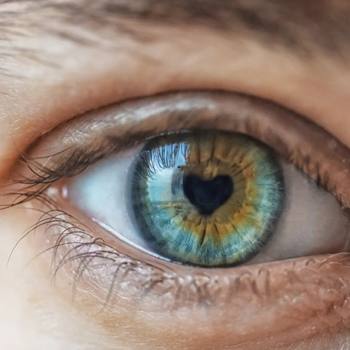 What’s My Eye Shape?Lashify