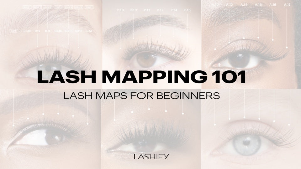 Diagram of a beginner lash map with six Gossamer® lash segments placed across the eye