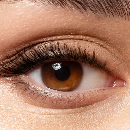 What’s a Lash Tint?Lashify
