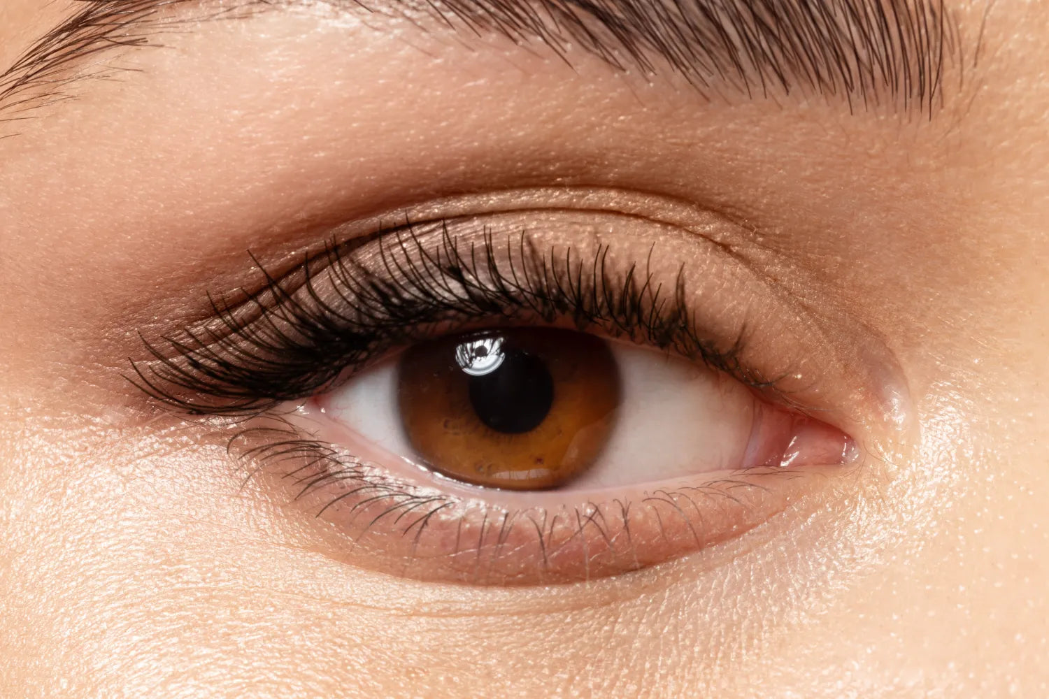 What’s a Lash Tint?