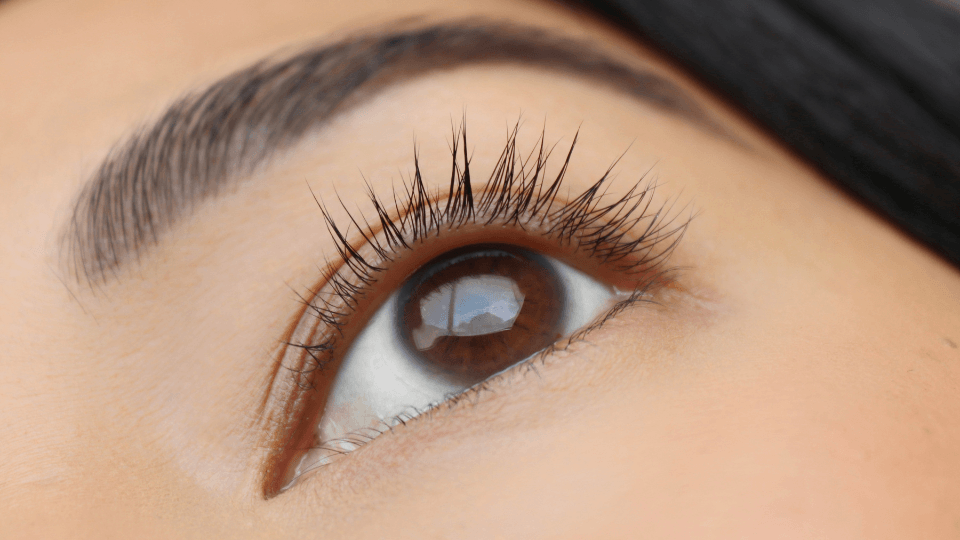 SEASONAL LASH SHEDDING