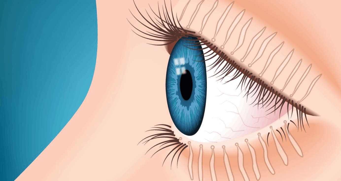 How to Keep Your Lash Extensions Fresh AF