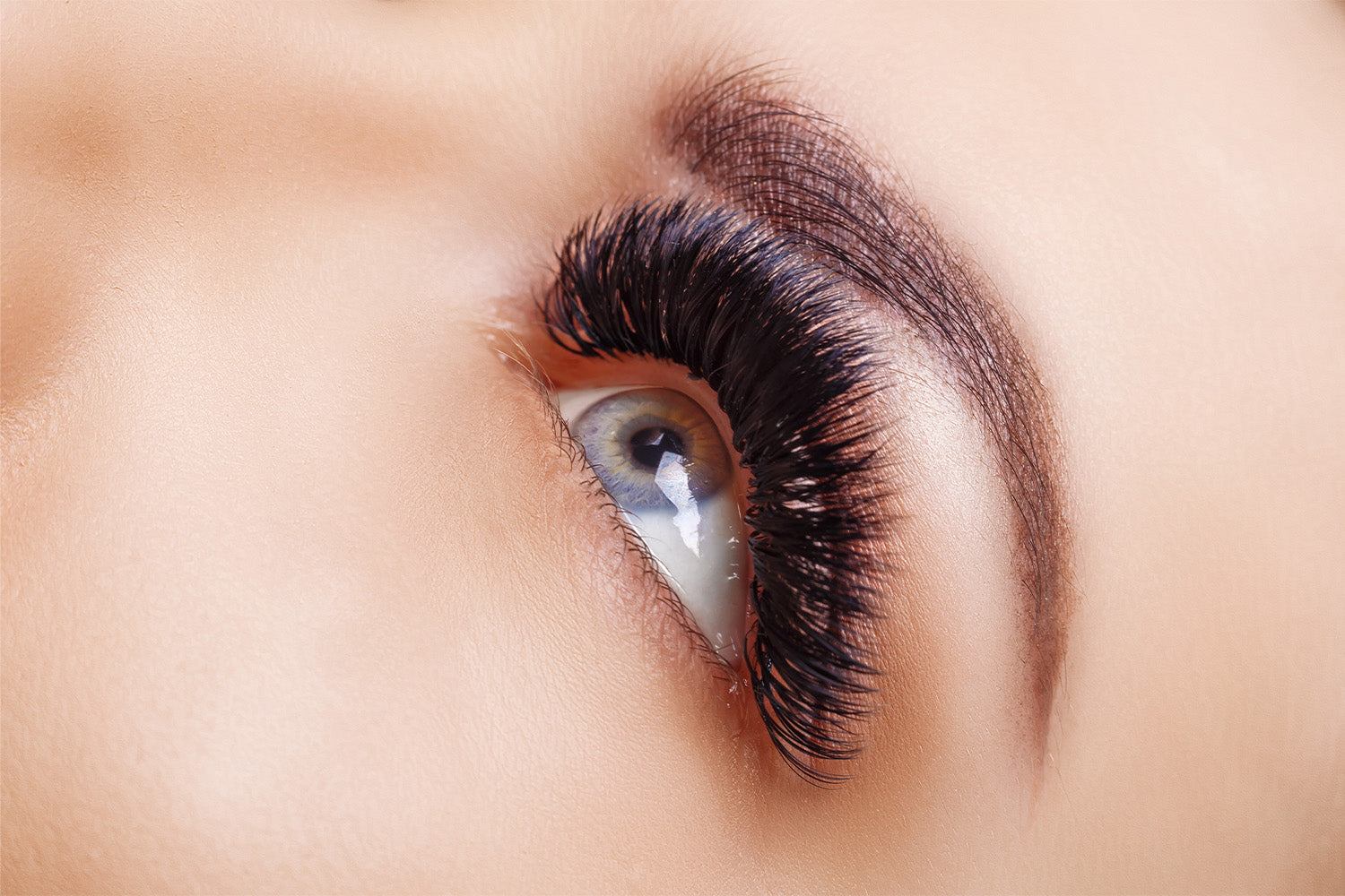 Volume Lash