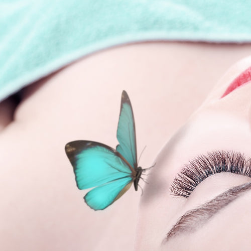 What Are Lash Extensions Made OfLashify