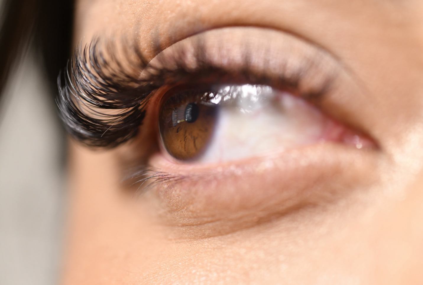 Wispy Lash Mapping Styles – Everything You Need To Know