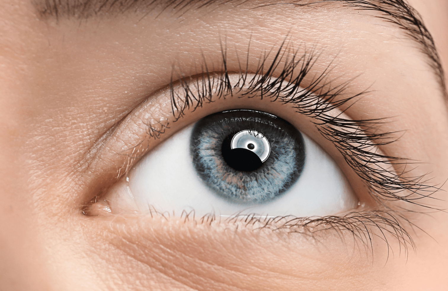 How To Extend the Life of Your Lashes