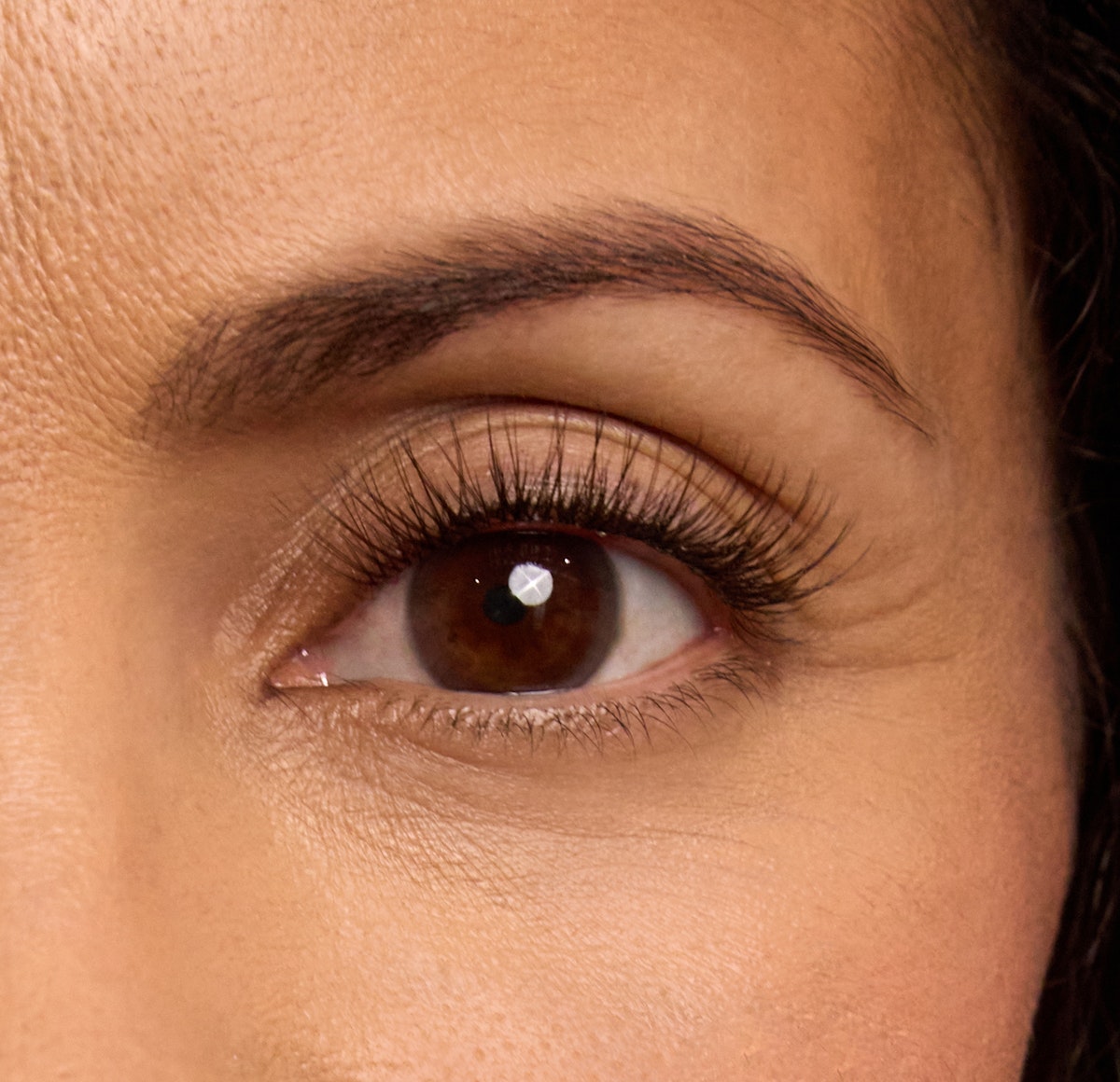 Amplify Plus+ / Truffle / 10mm - Short