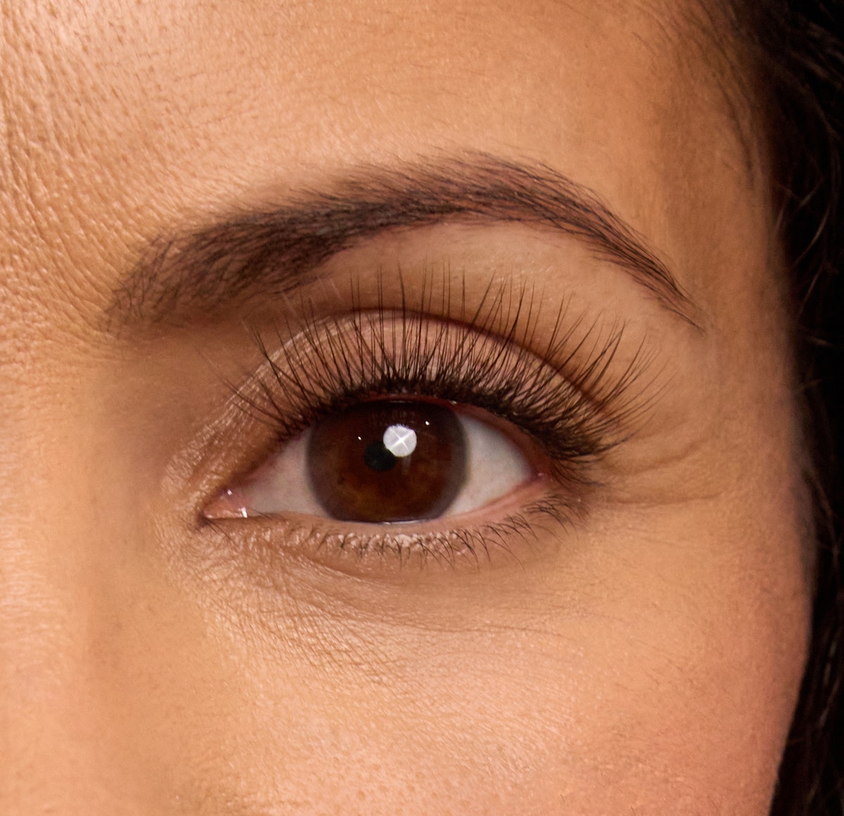 Amplify Plus+ / Truffle / 14mm - Long