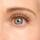 Amplify Plus+ / Ash / 14mm - Long