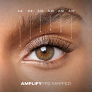 Amplify