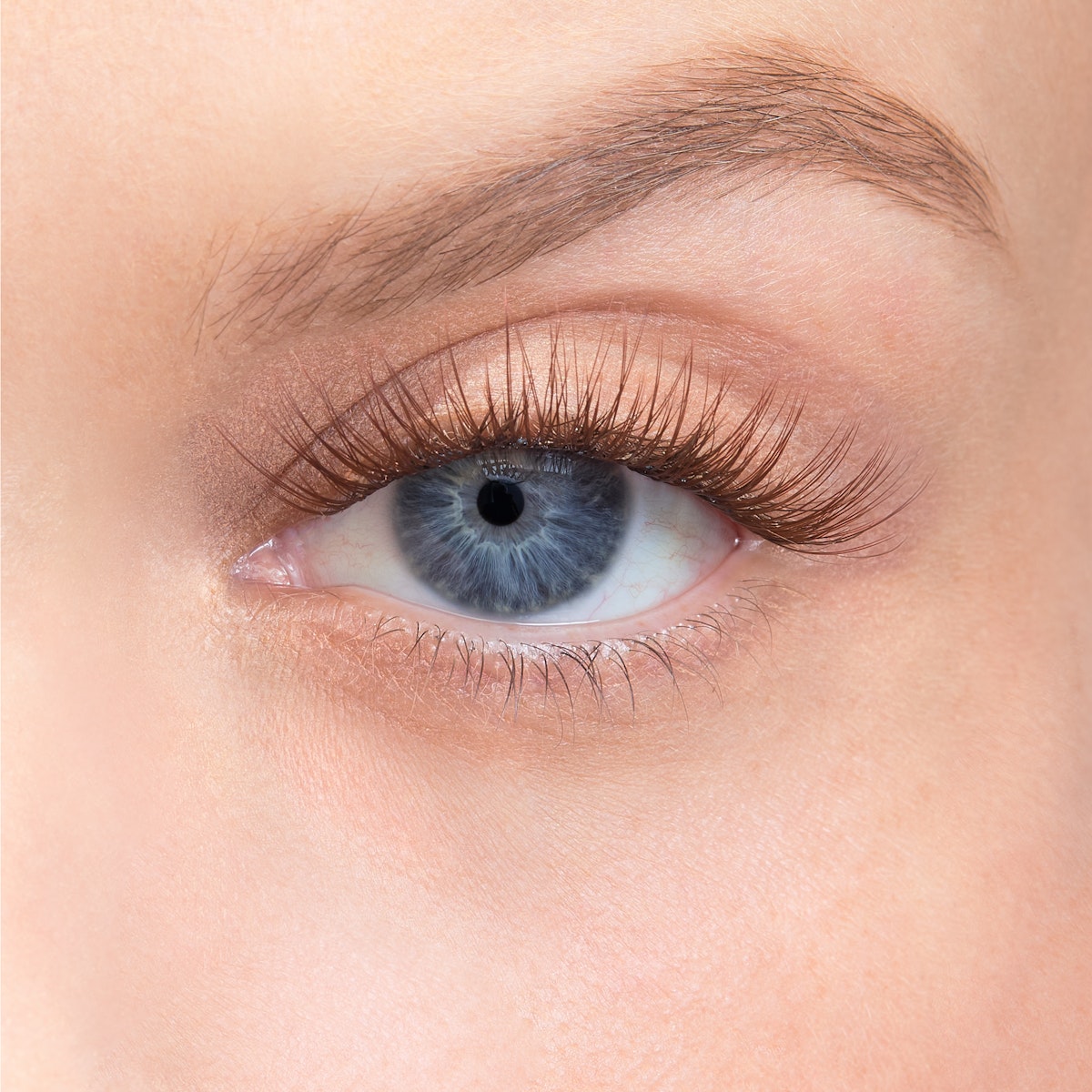 Curl / Ash / 14mm - Long