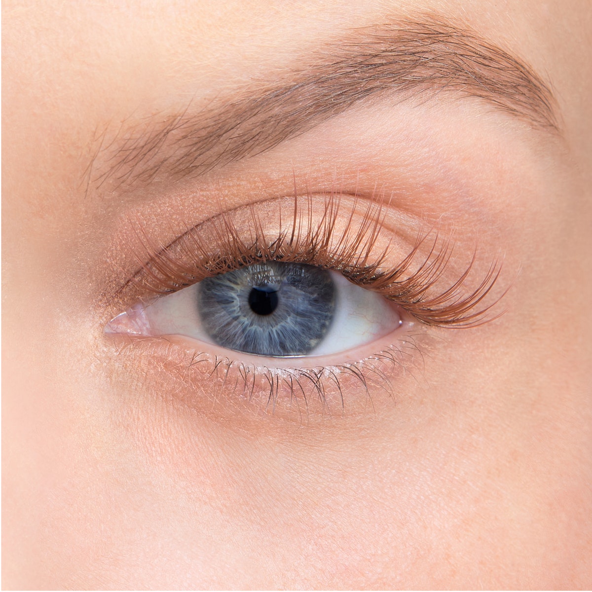 Curl / Ginger / 14mm - Long