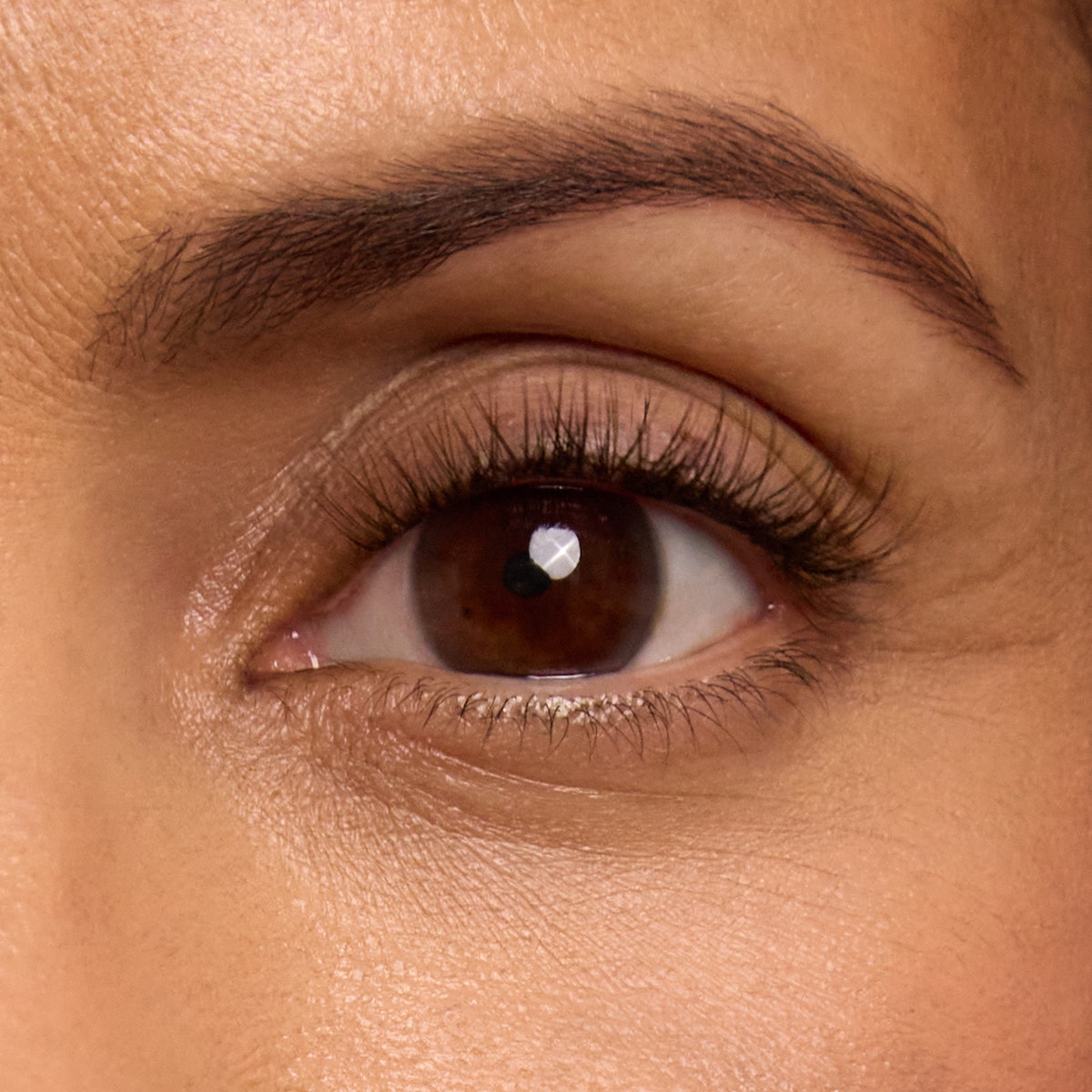 Curl Plus+ / Truffle / 10mm - Short