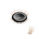 Curl / Dark Brown / 14mm - Long