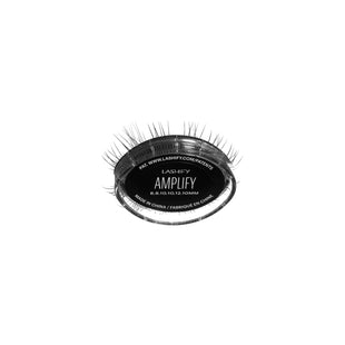 Amplify