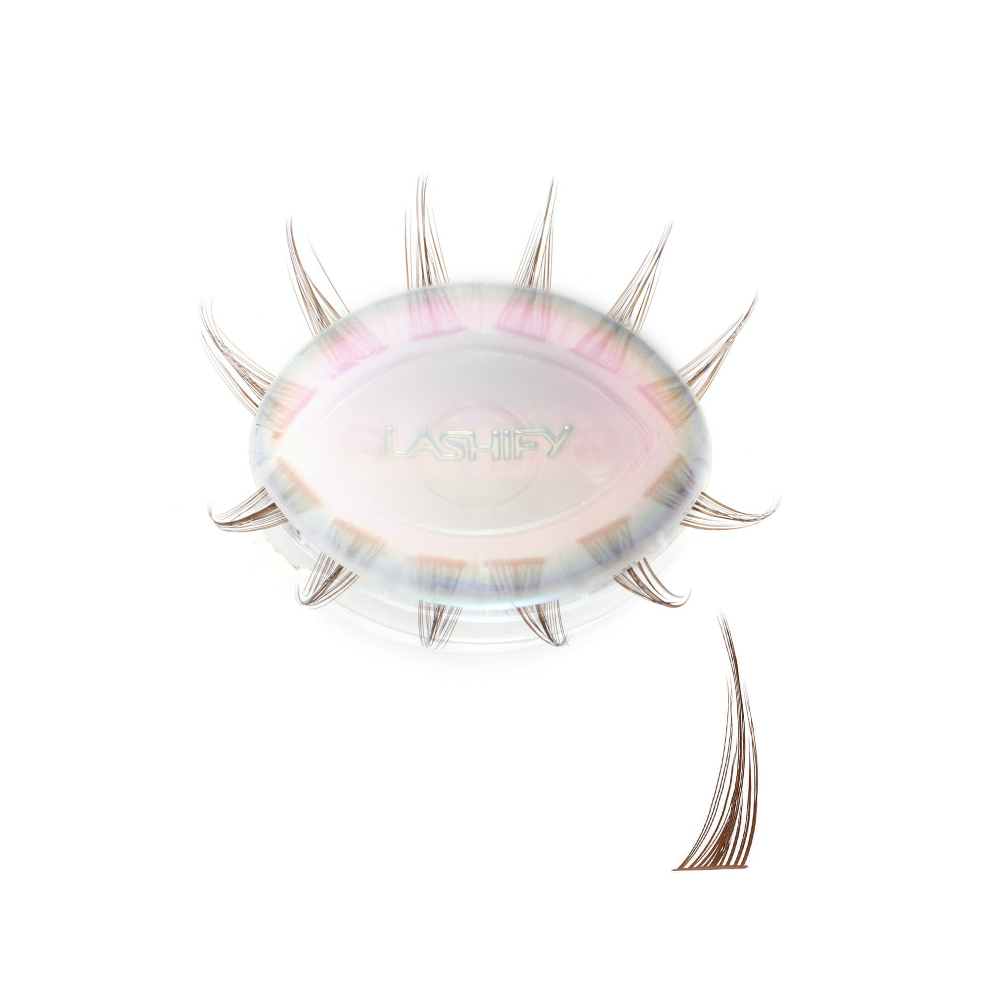 Cherry / Chocolate / 16mm - Long