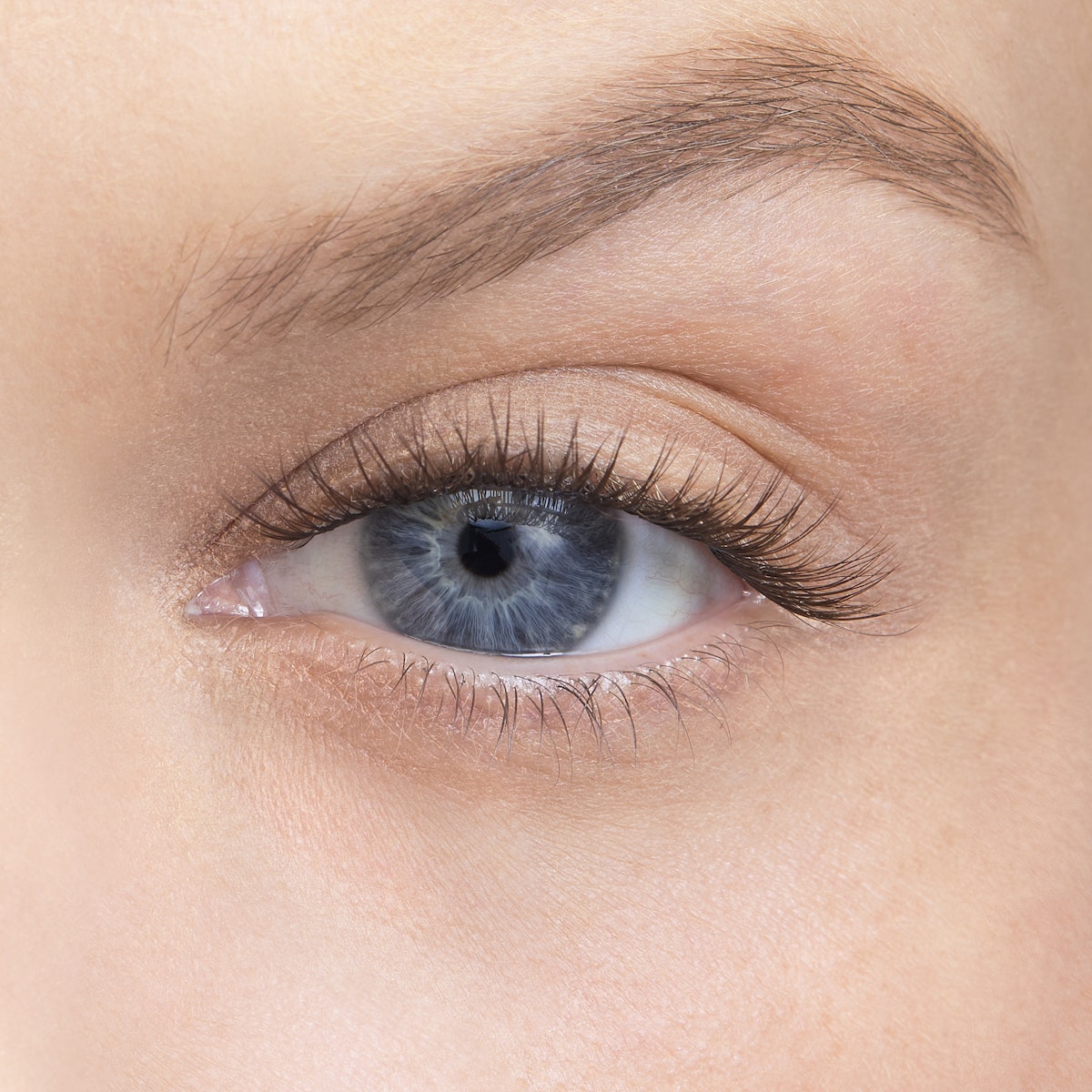 Amplify / Minx / 10mm - Short