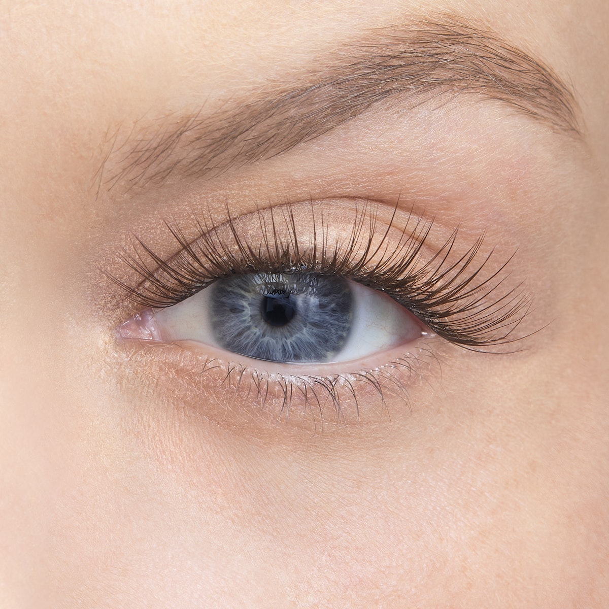 Amplify / Minx / 14mm - Long