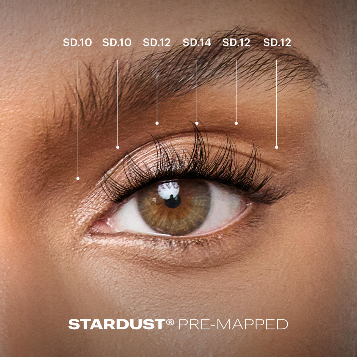 Stardust