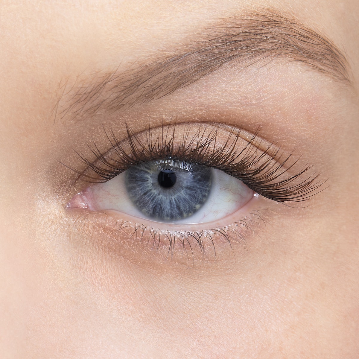 Amplify / Truffle / 12mm - Medium