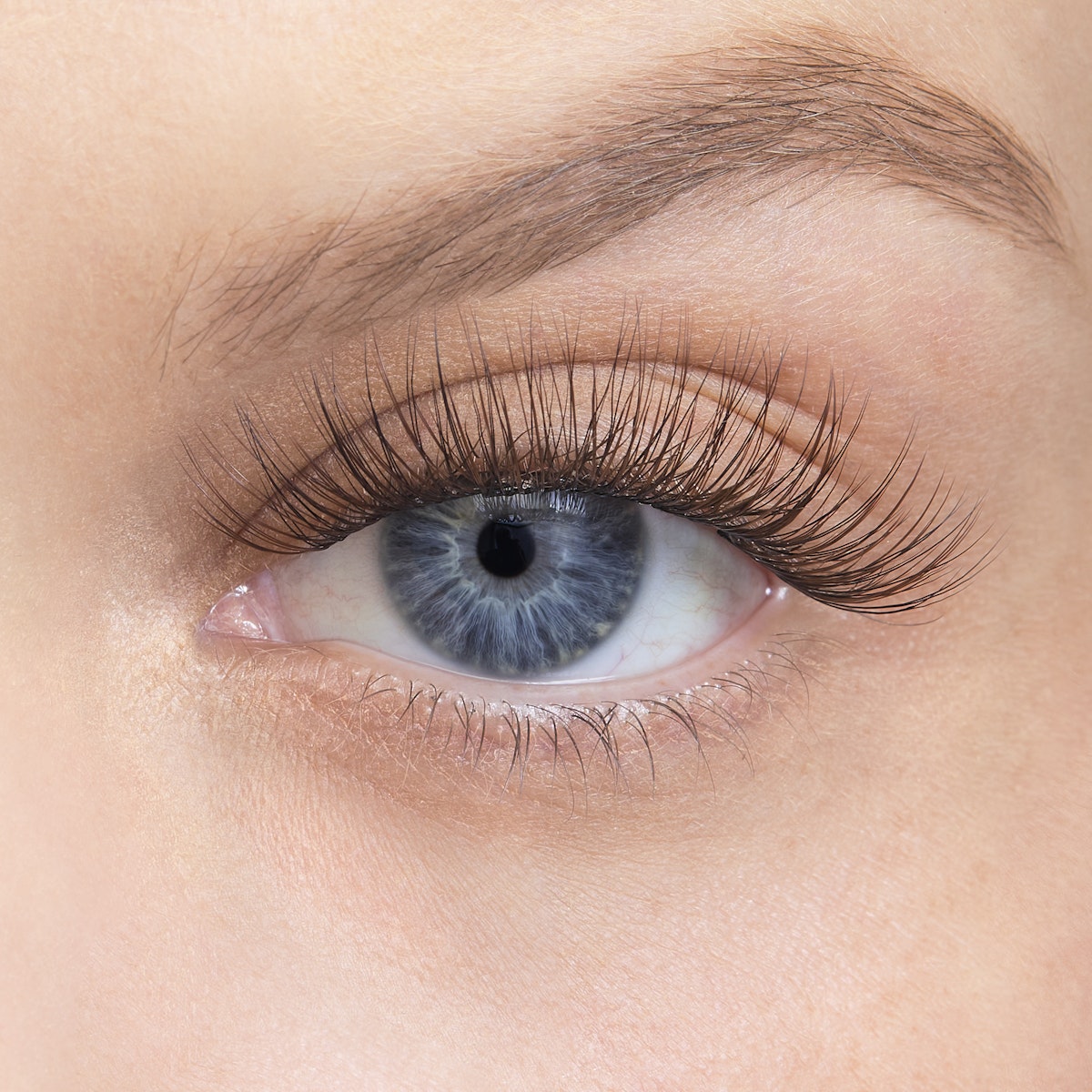 Curl / Truffle / 14mm - Long