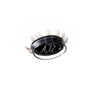 Last Call Ash, Soft (Amplify) Gossamer lashes
