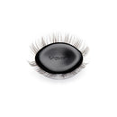 Amplify / Minx / 14mm - Long