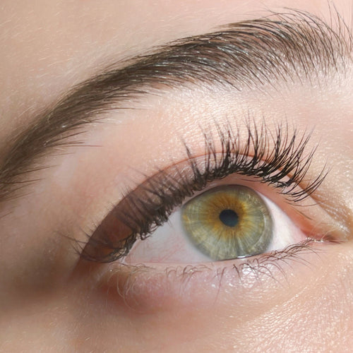 Are There Lashes That Last 2 Weeks?Lashify 