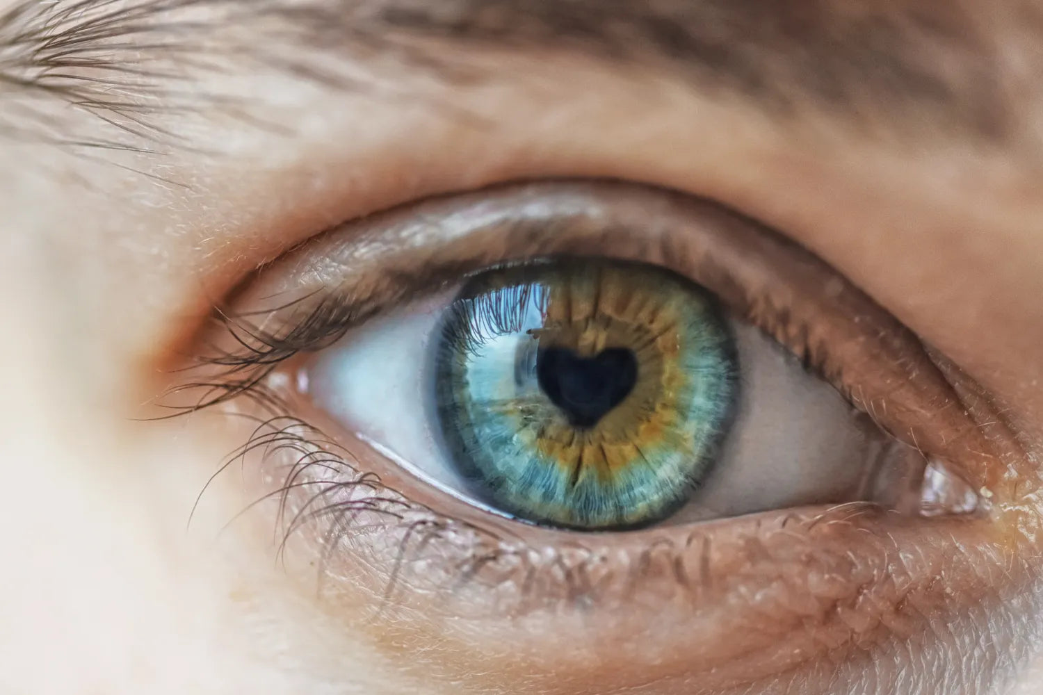 What’s My Eye Shape?