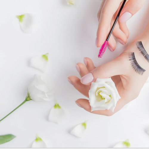 Cheap lash deals
