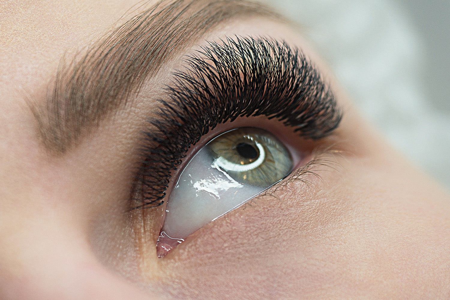 Temporary on sale eyelash extensions