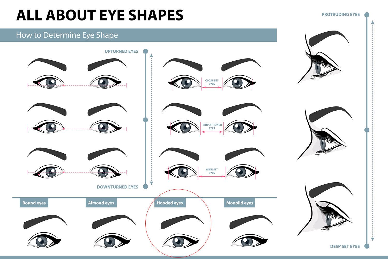 Different Types Of Eyes Shapes