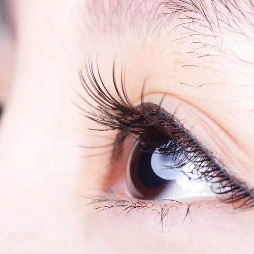 Our Guide to Choosing the Perfect Lash Extension KitLashify 