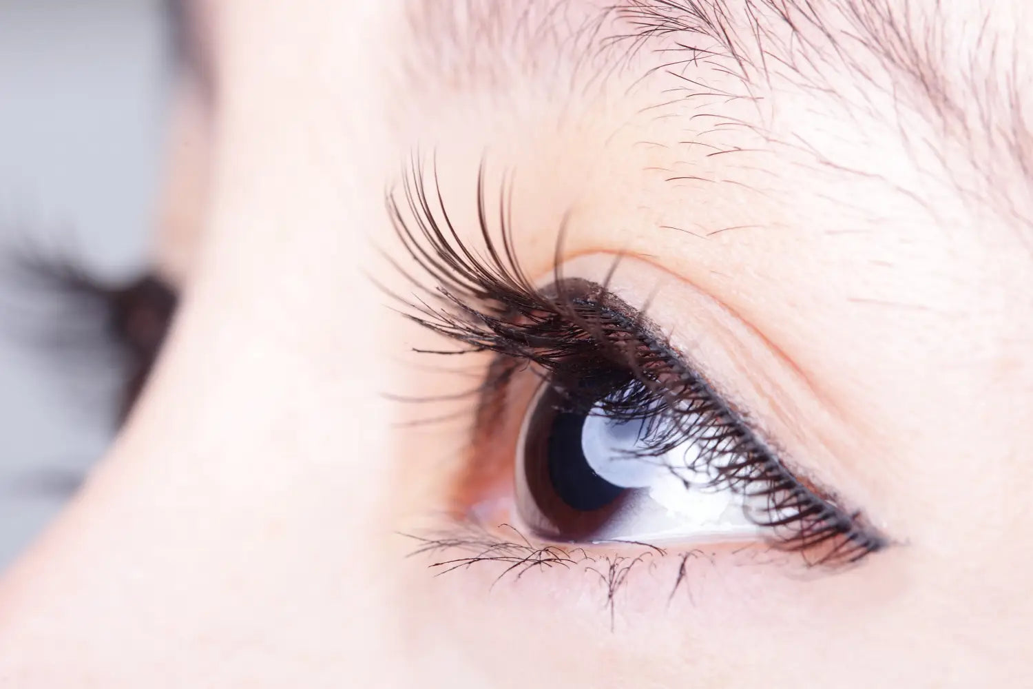 Our Guide to Choosing the Perfect Lash Extension Kit