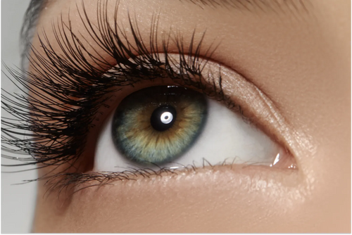 Eyes vs. Almond Eyes – Determining Your Eye Shape