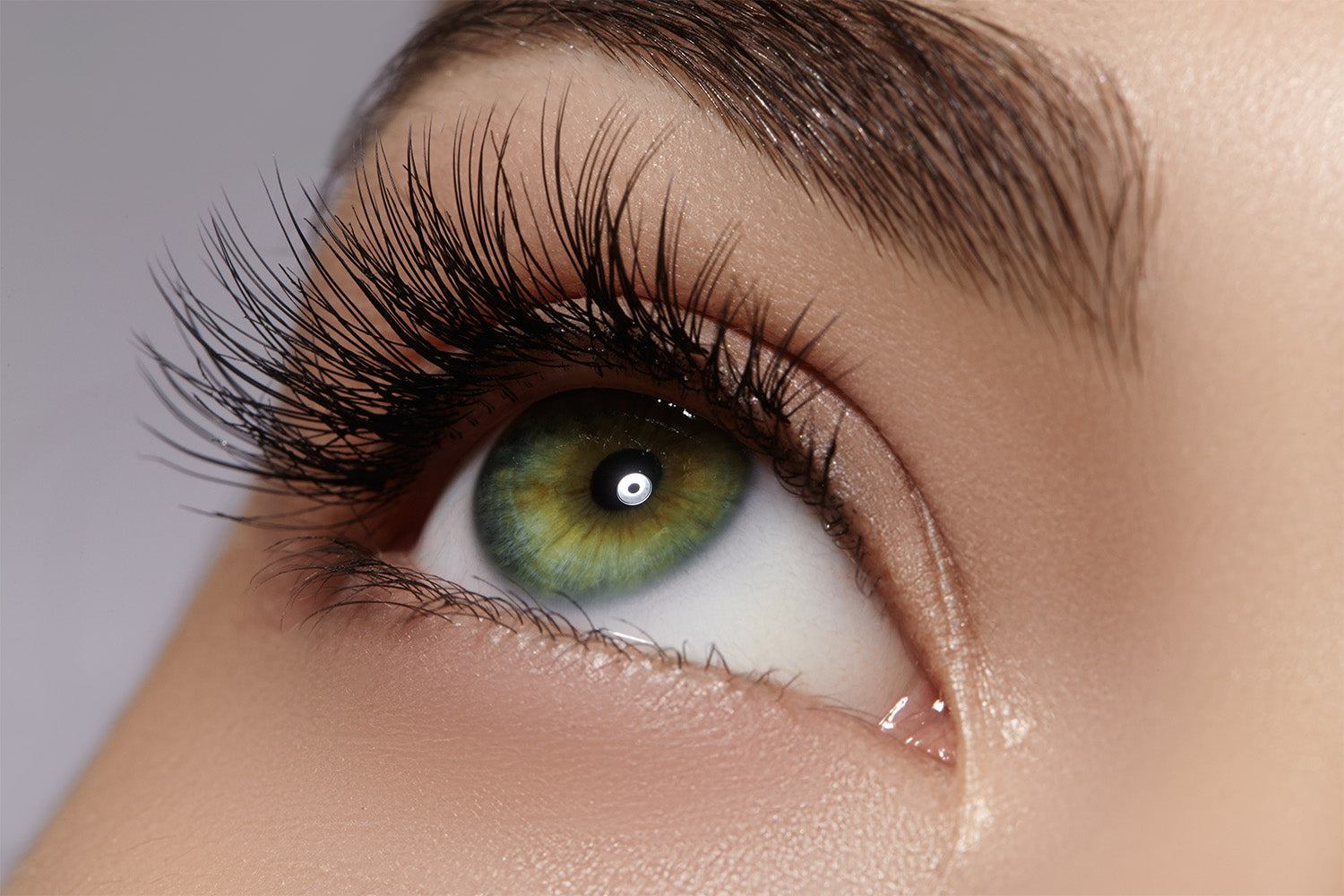 Best Eyelashes for Beginners