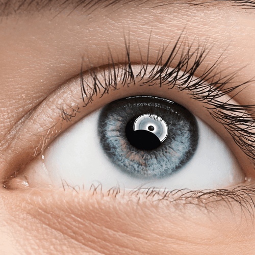 How To Extend the Life of Your LashesLashify 