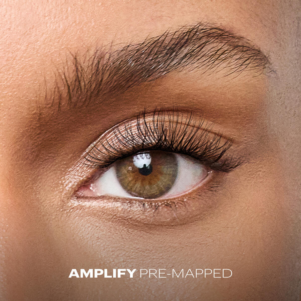 Amplify
