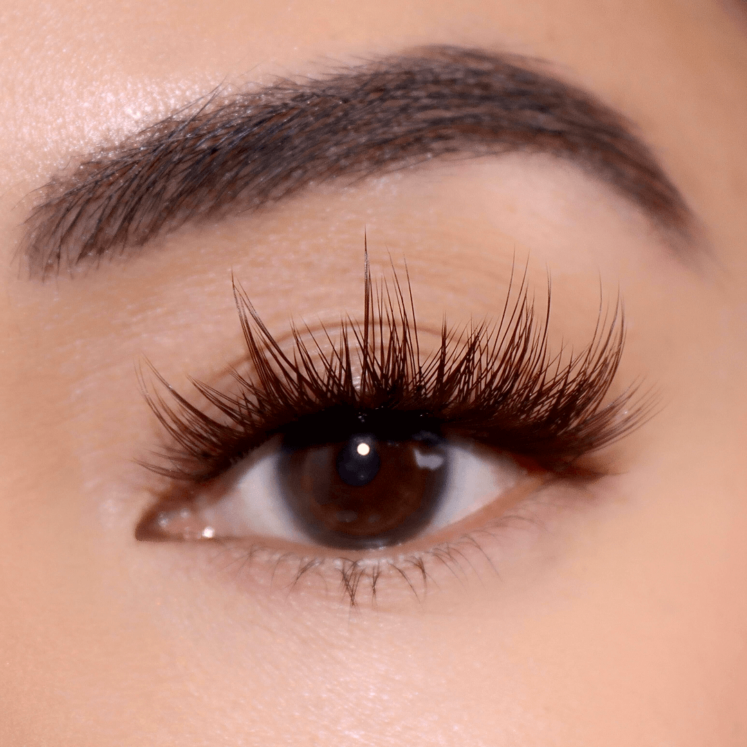 all
Chocolate Star Bundle
DIY Lash Extensions
DIY Lashes
Lashify