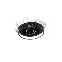 Curl Plus+ / Minx / 12mm - Medium