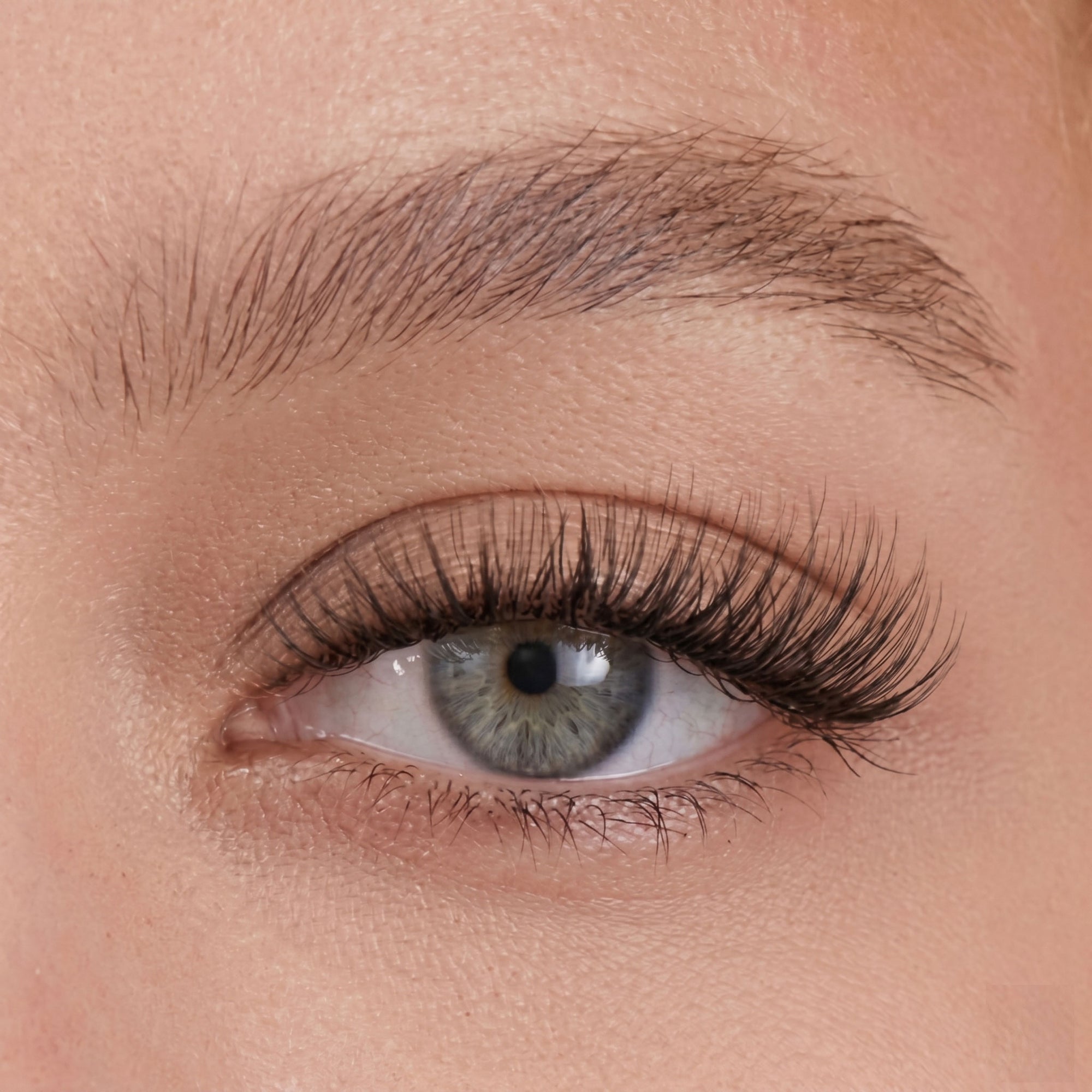 Drama / Black / 14mm - Long