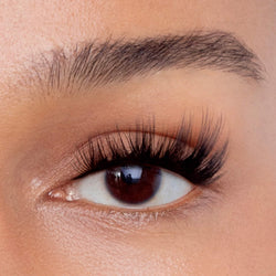 Bone Less Lashes The Anatomy of Lashes: What Are Lashes Made Of?