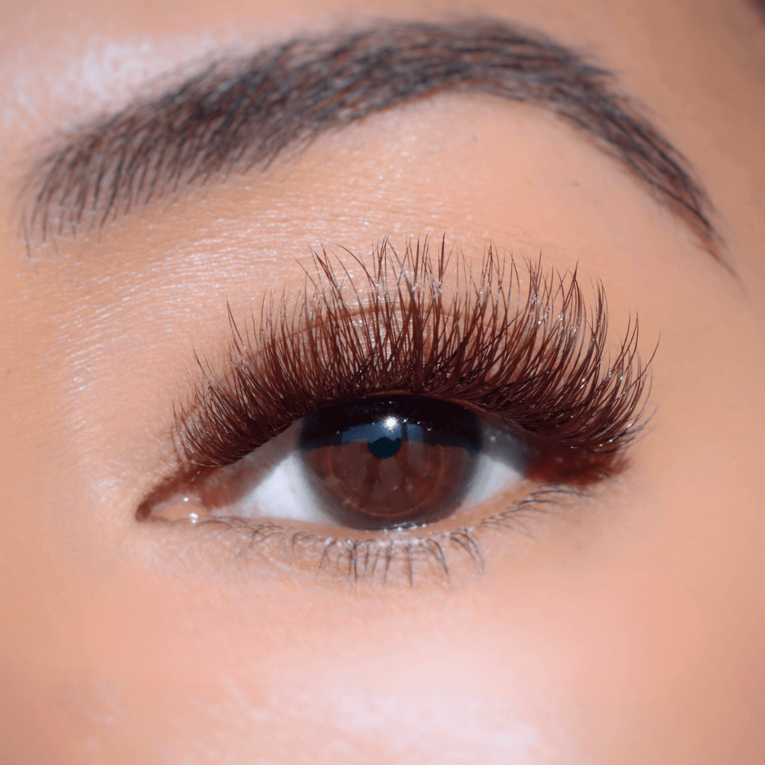 all
Glossy Ganache Bundle
DIY Lash Extensions
DIY Lashes
Lashify