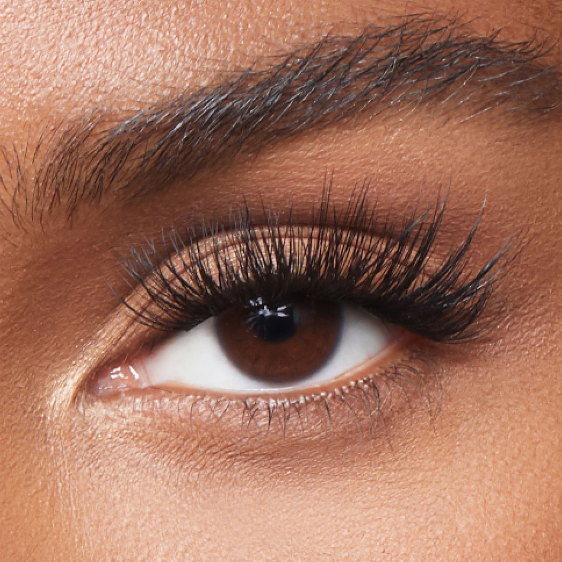 Shop All DIY Eyelash Extension Supplies | Lashify®