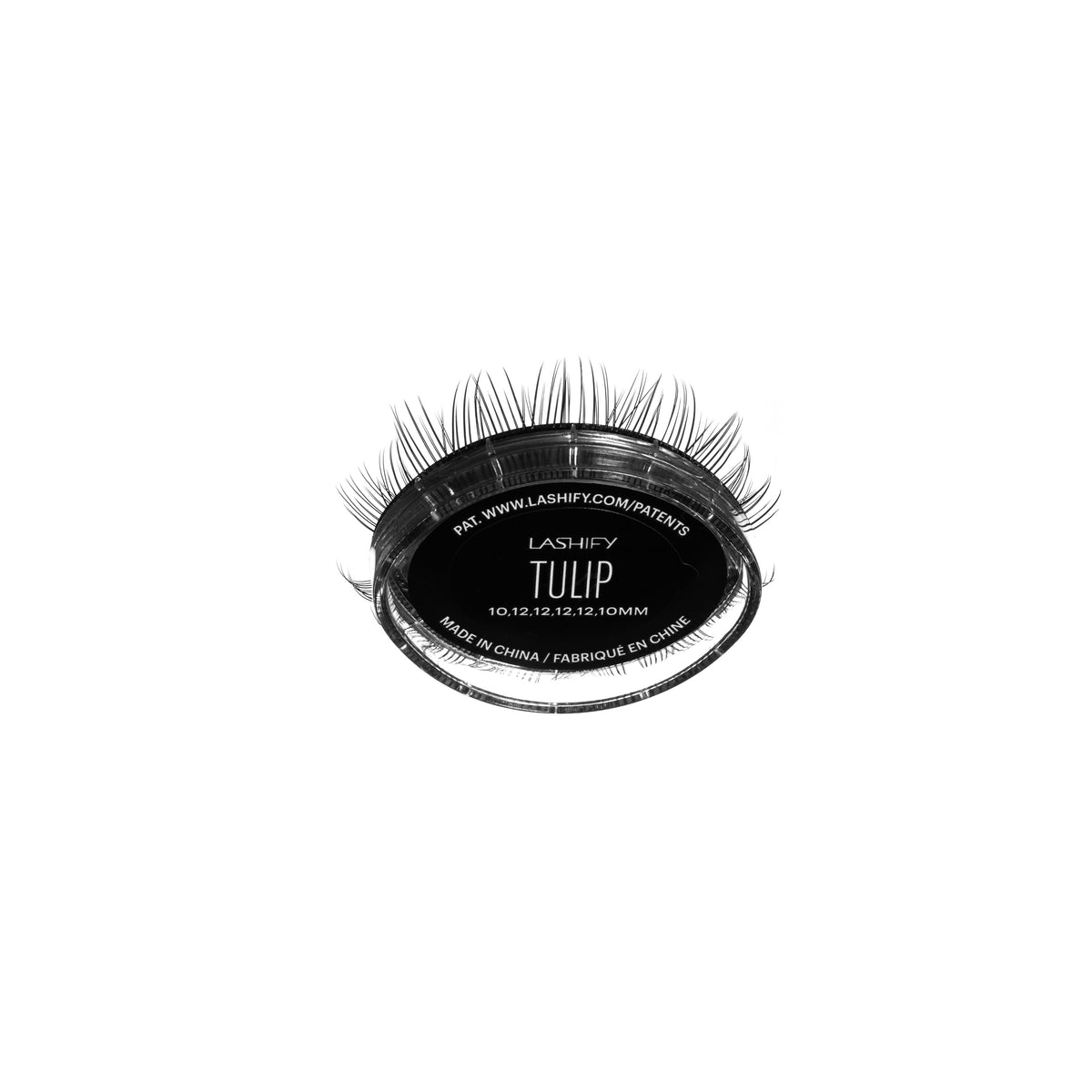 Tulip