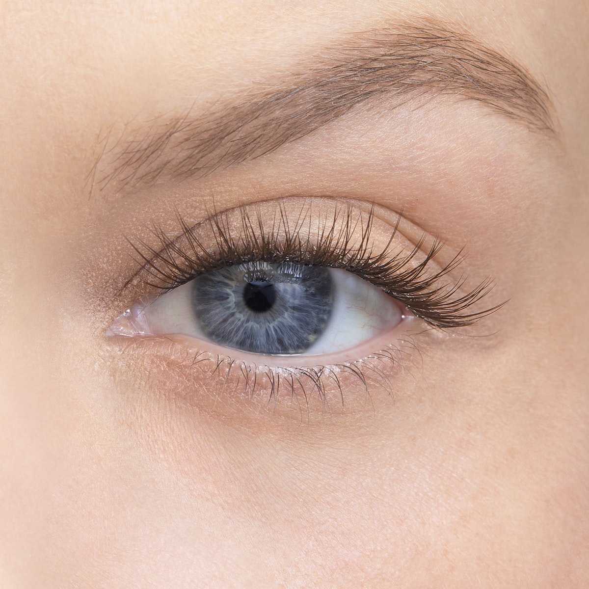 Amplify / Minx / 12mm - Medium