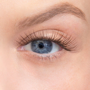 Amplify / Minx / 14mm - Long