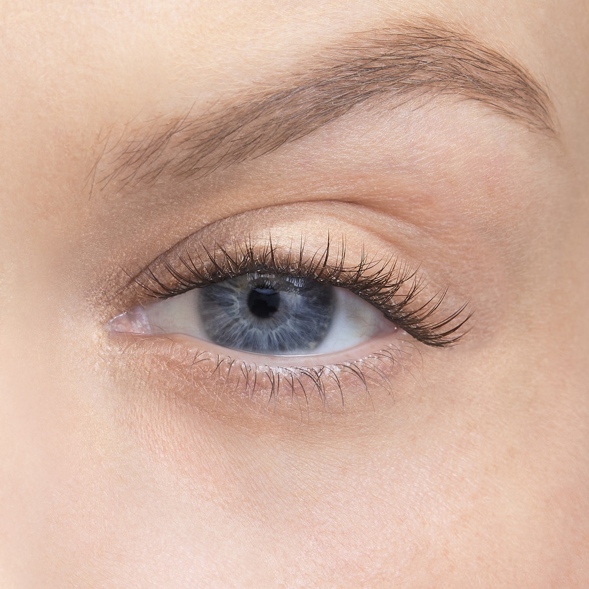 Amplify / Minx / 8mm - Extra Short