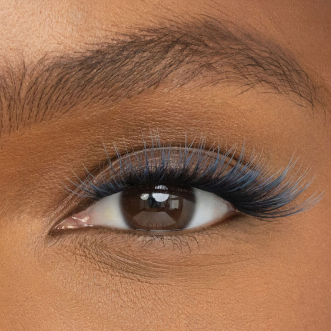 DIY Lash Extension System by Lashify® – The Inventors